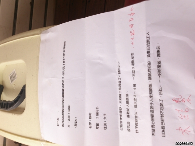 在臺南麻豆圖書館旁發現一被棄養的小貓