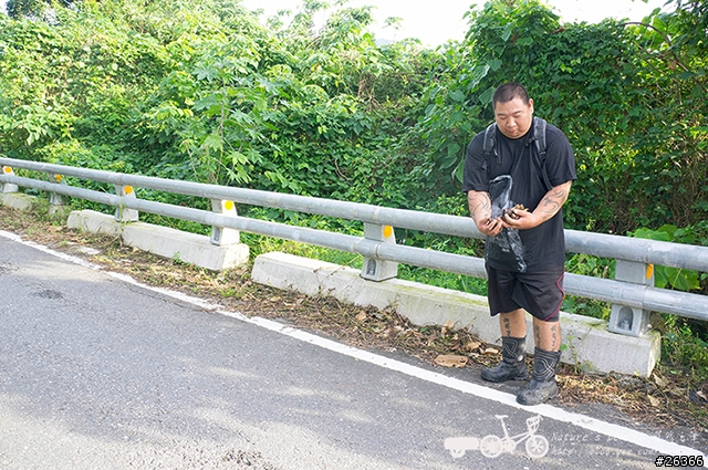 【一個人的旅行】兩鐵台東之旅 bike friday〔伯朗大道、阿智農場、台東熱氣球、鹿野高台、龍田自行車、知本溫泉、卑南豬血湯、徐媽媽蔥油餅〕