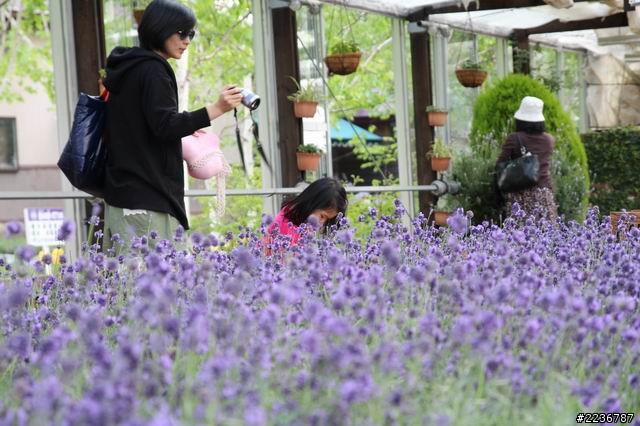 2013/6/2北海道自助九天之Canon 650D+Sigma 17-70mm旅遊拍照分享與心得