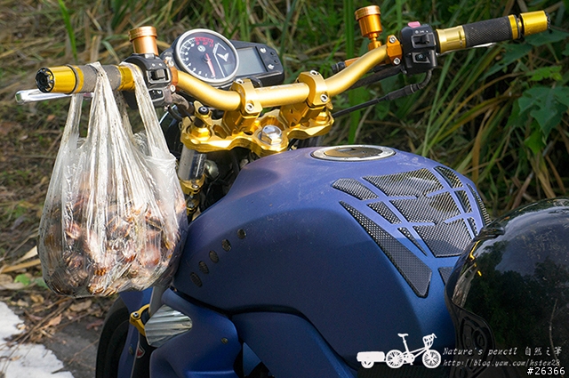 【一個人的旅行】兩鐵台東之旅 bike friday〔伯朗大道、阿智農場、台東熱氣球、鹿野高台、龍田自行車、知本溫泉、卑南豬血湯、徐媽媽蔥油餅〕