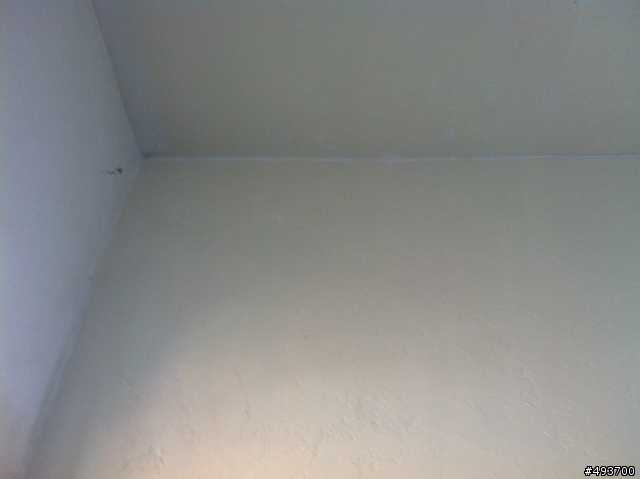 屋頂防漏＆家中牆壁防漏DIY真的很簡單！ 得利防漏系列心得分享～