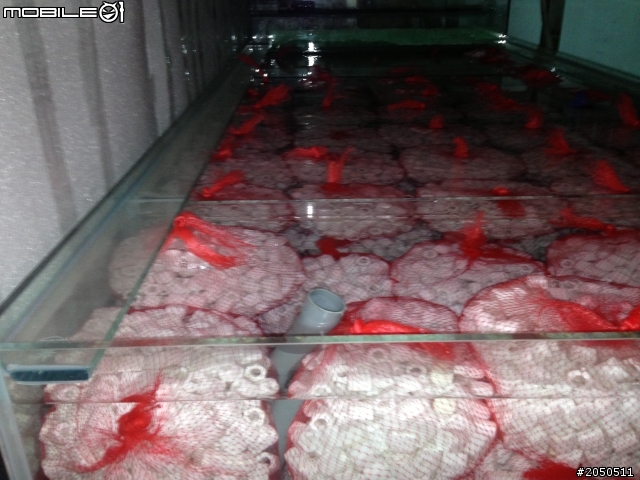 分享部分diy的10呎大魚缸