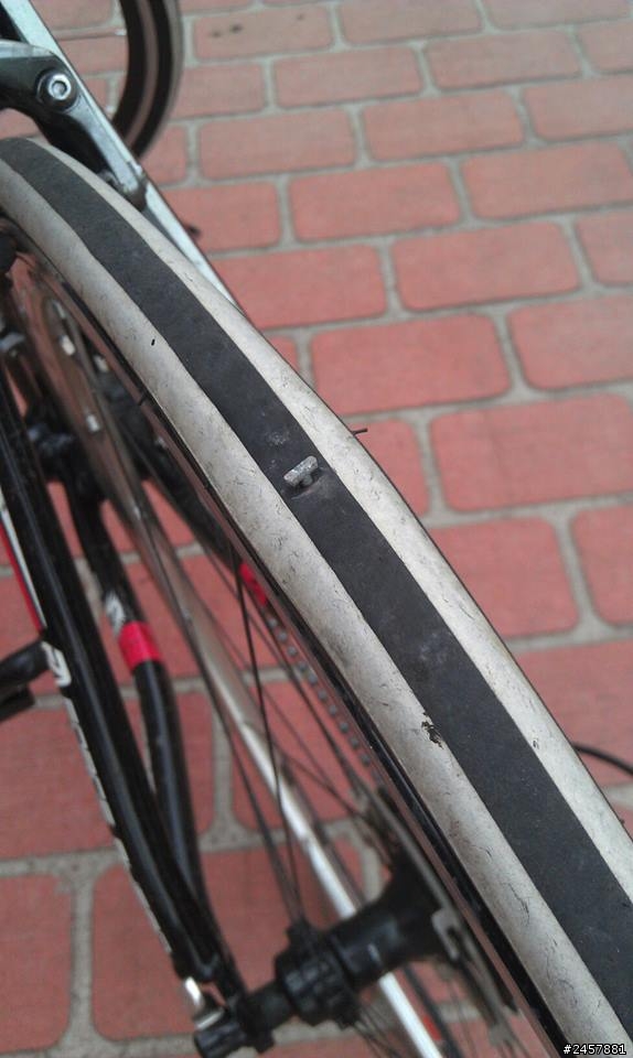 Centurion公路車簽到