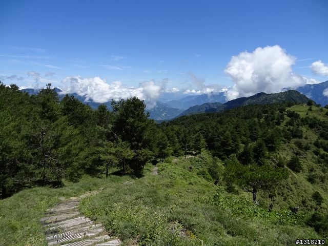 親子旅遊-就是要去塔塔加