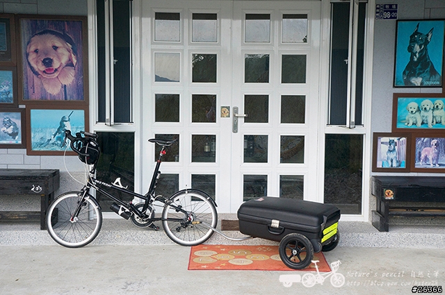 【一個人的旅行】兩鐵台東之旅 bike friday〔伯朗大道、阿智農場、台東熱氣球、鹿野高台、龍田自行車、知本溫泉、卑南豬血湯、徐媽媽蔥油餅〕