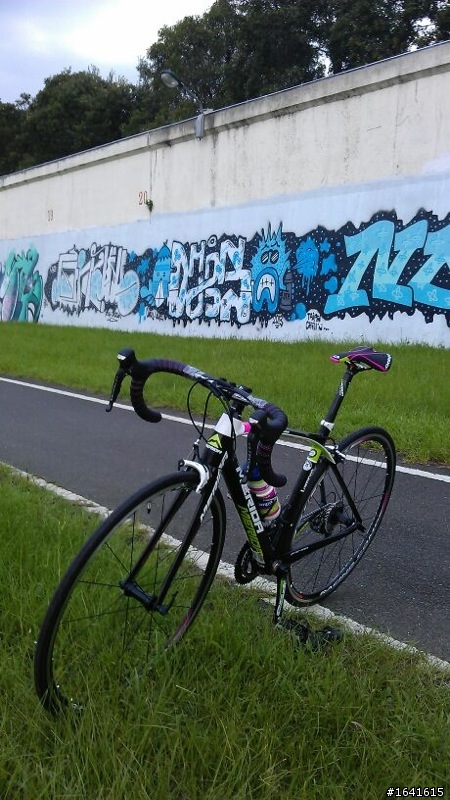 2014 SCULTURA CF 905 全球首發!首航!!