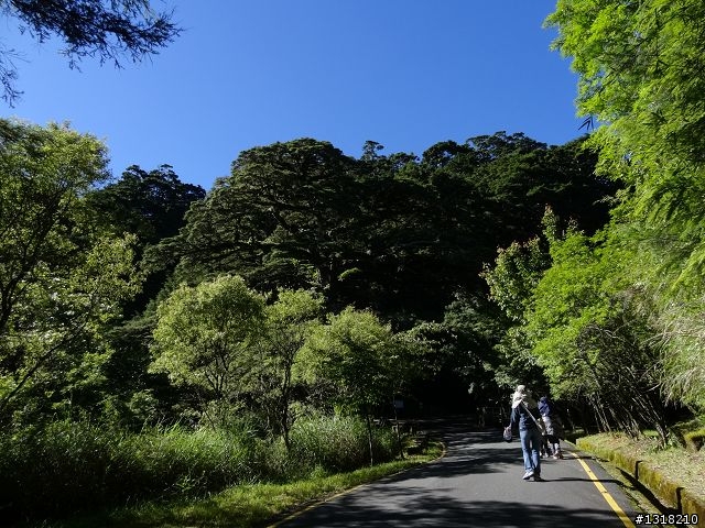 親子旅遊-就是要去塔塔加