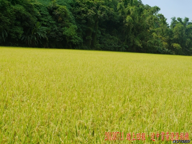 20130711鶯歌大溪三坑石門水庫之旅