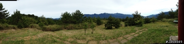 人生首露/福壽山農場0720