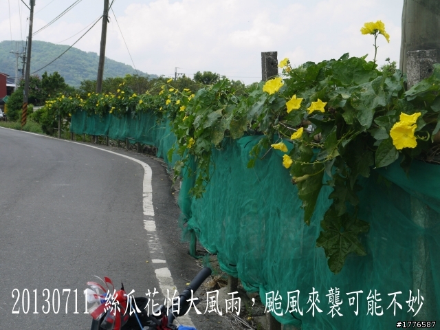 20130711鶯歌大溪三坑石門水庫之旅