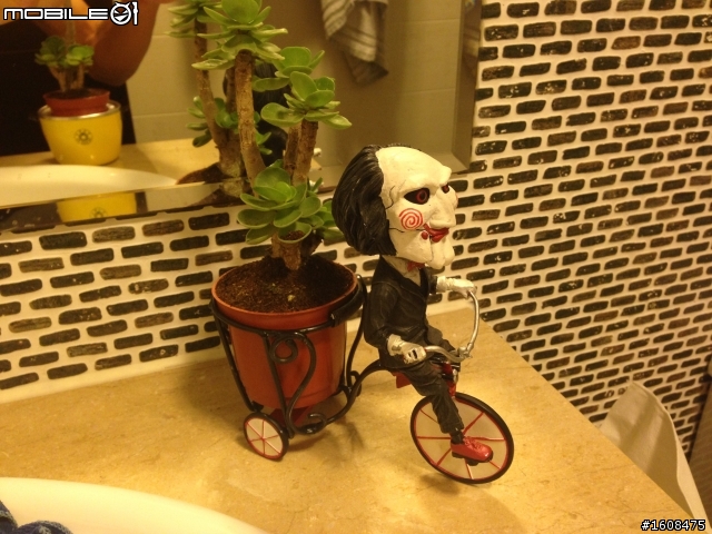 這植物能種在浴室嗎?
