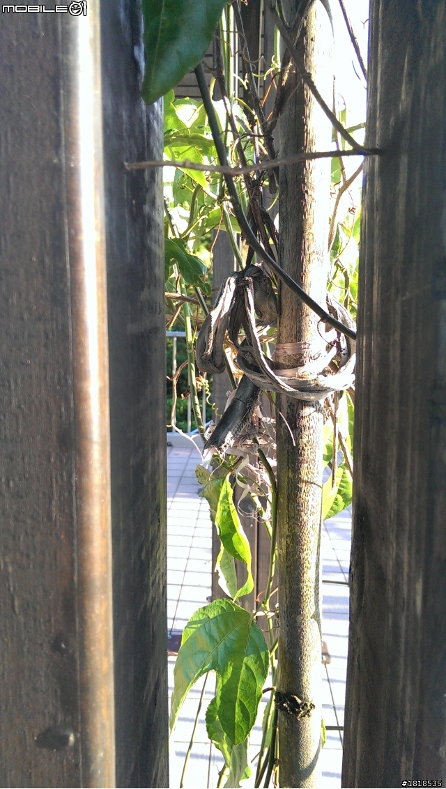 菜菜的新手~NEW ONE 簡單開箱