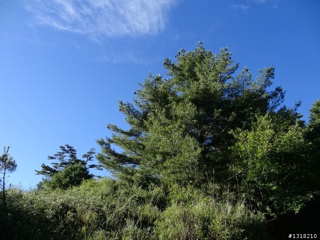 親子旅遊-就是要去塔塔加