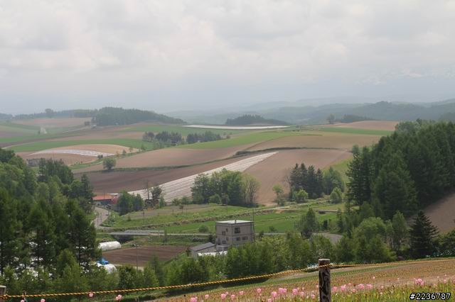 2013/6/2北海道自助九天之Canon 650D+Sigma 17-70mm旅遊拍照分享與心得
