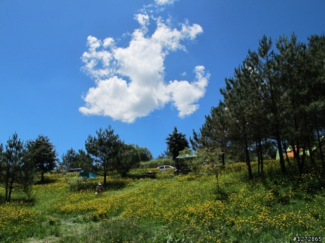 20130629.30福壽山農場露營