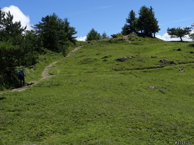 親子旅遊-就是要去塔塔加