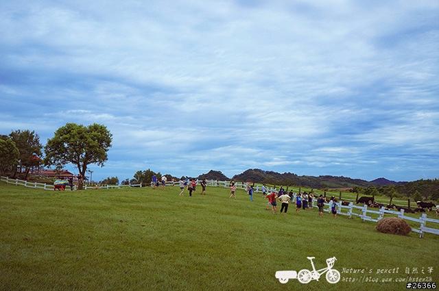 【一個人的旅行】兩鐵台東之旅 bike friday〔伯朗大道、阿智農場、台東熱氣球、鹿野高台、龍田自行車、知本溫泉、卑南豬血湯、徐媽媽蔥油餅〕