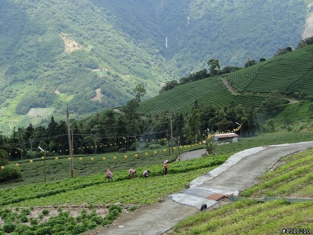 親子旅遊-就是要去塔塔加