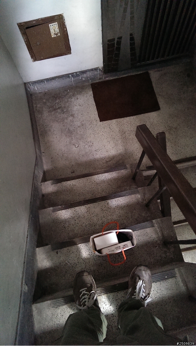 這樣子紫光任務不知道解了沒 非工讀生 圖多請原諒