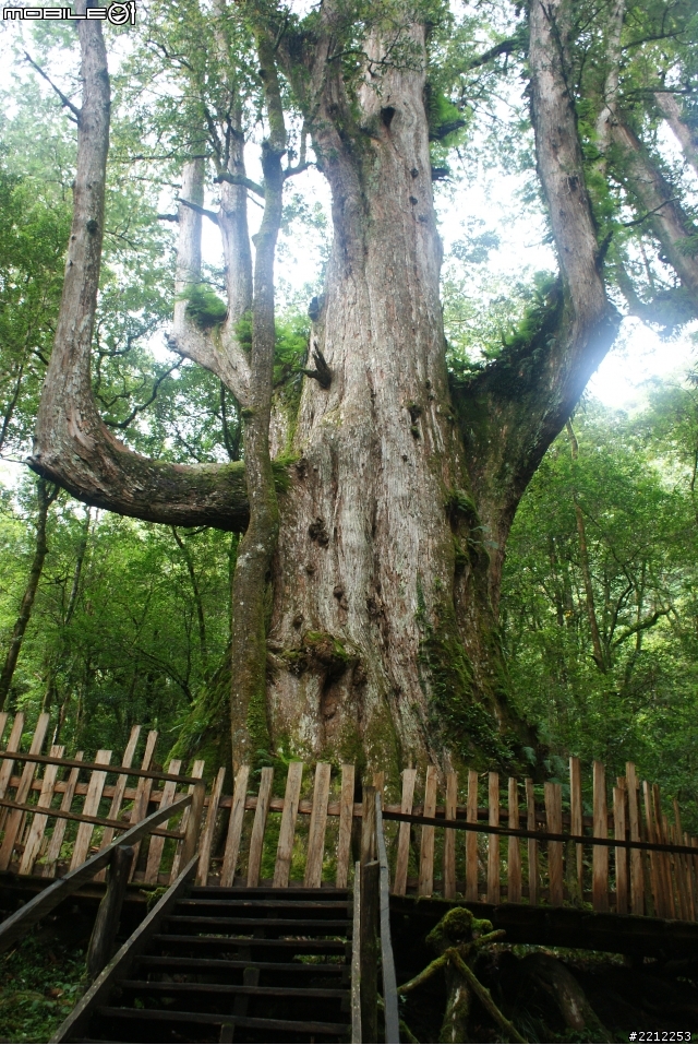 SR 勇闖上帝的部落 [司馬庫斯]