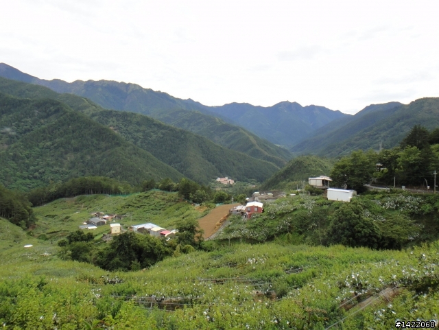 第三屆 超越巔峰台灣屋脊 中央山脈極致挑戰 Over The Top
