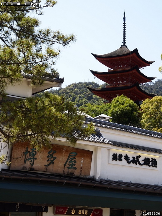 帶著我的E-M5，宮島行