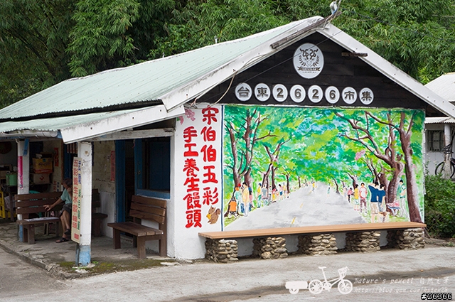 【一個人的旅行】兩鐵台東之旅 bike friday〔伯朗大道、阿智農場、台東熱氣球、鹿野高台、龍田自行車、知本溫泉、卑南豬血湯、徐媽媽蔥油餅〕