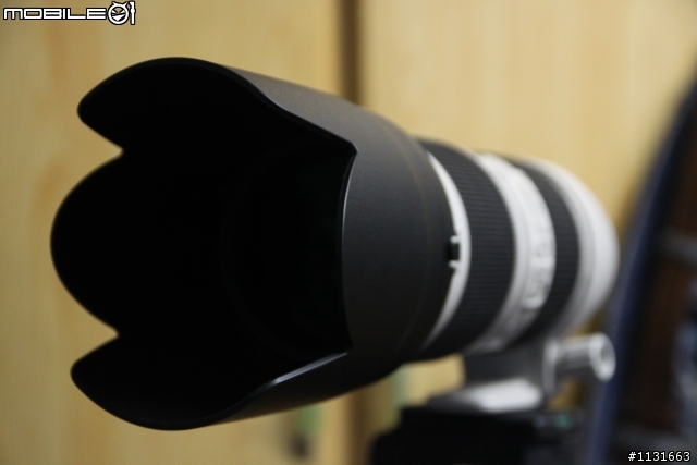 小白II 70-200mm f/2.8L IS II USM 鏡頭簡易開箱