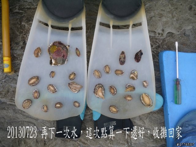 20130723   鼻頭角浮潛