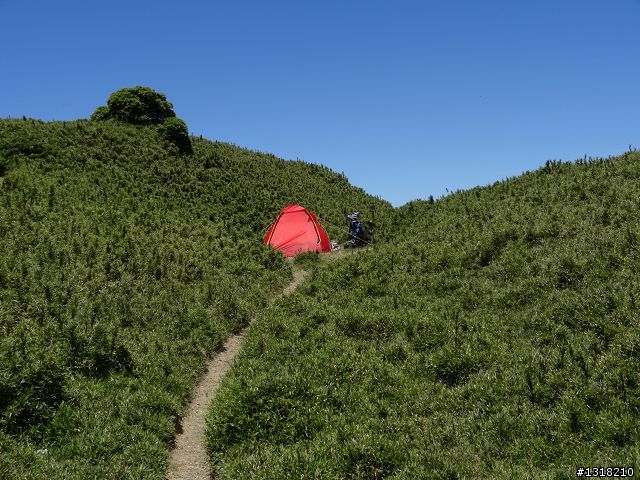 親子旅遊-合歡山晴(下)