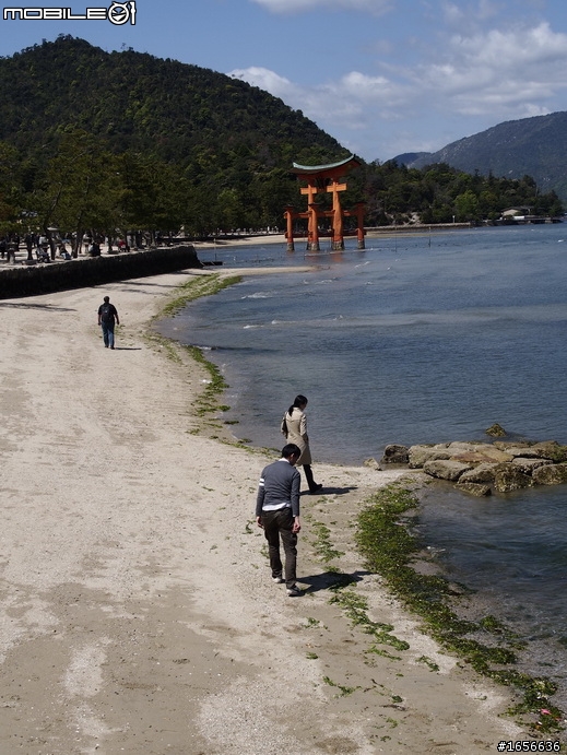 帶著我的E-M5，宮島行