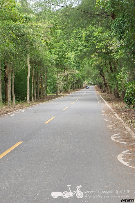 【一個人的旅行】兩鐵台東之旅 bike friday〔伯朗大道、阿智農場、台東熱氣球、鹿野高台、龍田自行車、知本溫泉、卑南豬血湯、徐媽媽蔥油餅〕