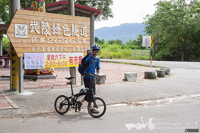 【一個人的旅行】兩鐵台東之旅 bike friday〔伯朗大道、阿智農場、台東熱氣球、鹿野高台、龍田自行車、知本溫泉、卑南豬血湯、徐媽媽蔥油餅〕
