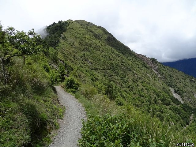 親子旅遊-就是要去塔塔加