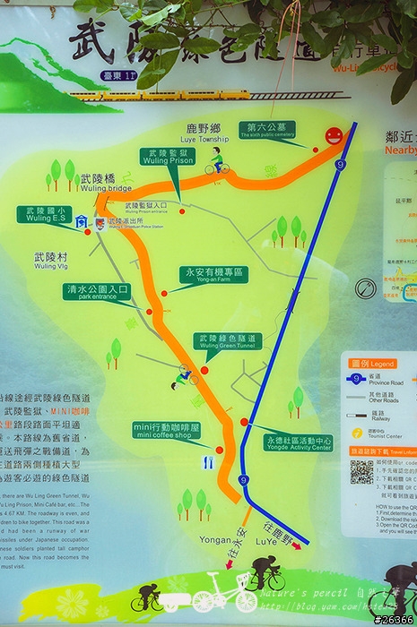 【一個人的旅行】兩鐵台東之旅 bike friday〔伯朗大道、阿智農場、台東熱氣球、鹿野高台、龍田自行車、知本溫泉、卑南豬血湯、徐媽媽蔥油餅〕