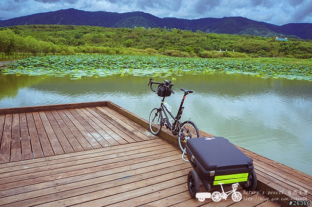 【一個人的旅行】兩鐵台東之旅 bike friday〔伯朗大道、阿智農場、台東熱氣球、鹿野高台、龍田自行車、知本溫泉、卑南豬血湯、徐媽媽蔥油餅〕