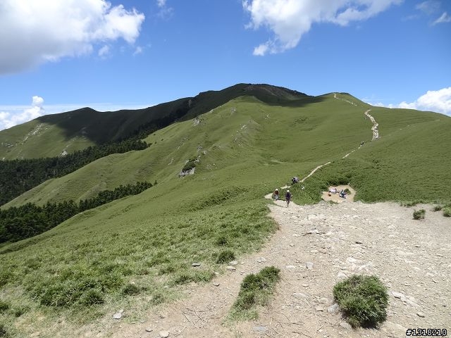 親子旅遊-合歡山晴(下)