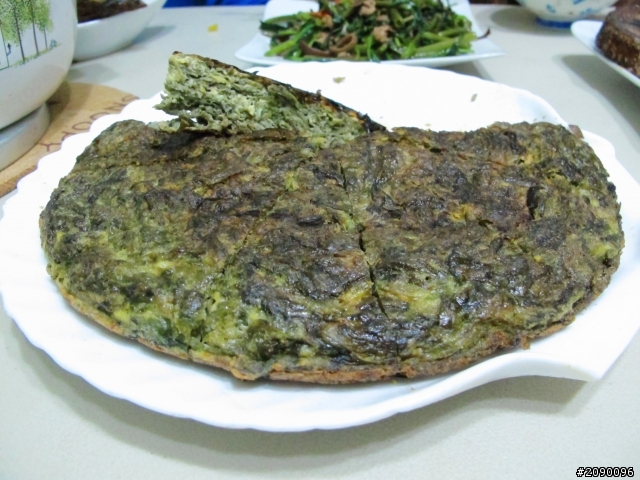 就是愛台灣十天環島含澎湖3天