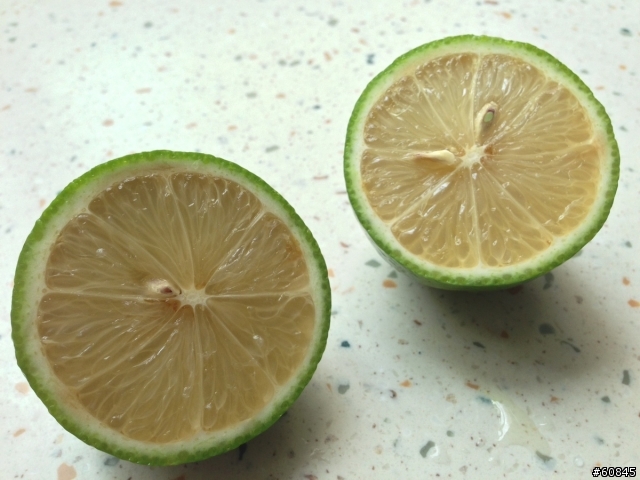 [DIY] 健康無負擔的檸檬水
