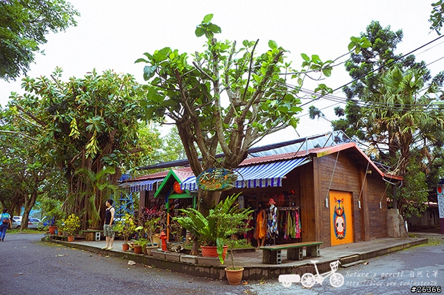 【一個人的旅行】兩鐵台東之旅 bike friday〔伯朗大道、阿智農場、台東熱氣球、鹿野高台、龍田自行車、知本溫泉、卑南豬血湯、徐媽媽蔥油餅〕