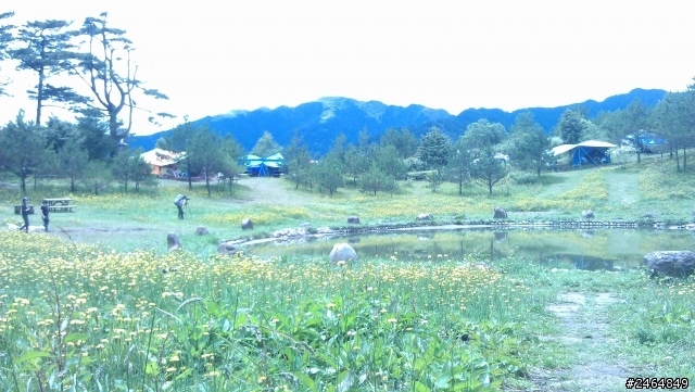 人生首露/福壽山農場0720