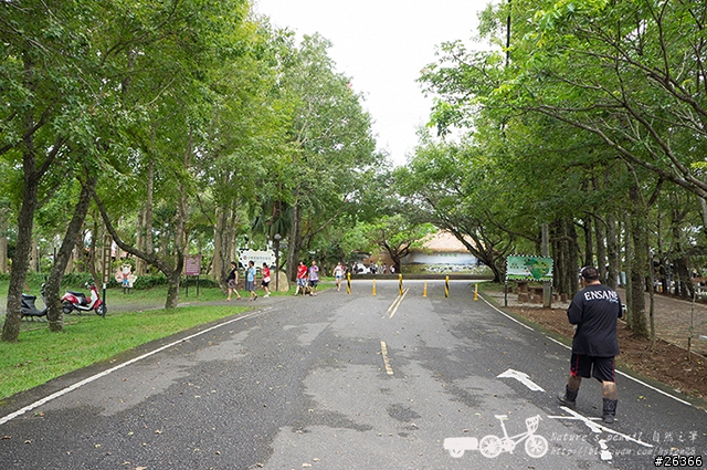 【一個人的旅行】兩鐵台東之旅 bike friday〔伯朗大道、阿智農場、台東熱氣球、鹿野高台、龍田自行車、知本溫泉、卑南豬血湯、徐媽媽蔥油餅〕