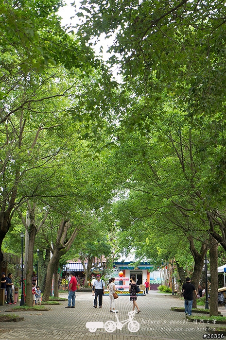 【一個人的旅行】兩鐵台東之旅 bike friday〔伯朗大道、阿智農場、台東熱氣球、鹿野高台、龍田自行車、知本溫泉、卑南豬血湯、徐媽媽蔥油餅〕