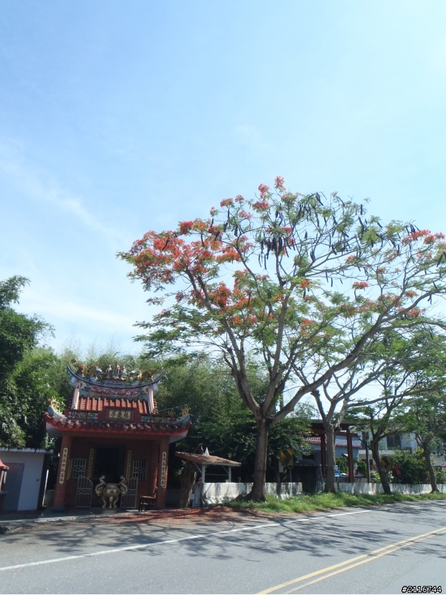 那天我們就出發了環島去
