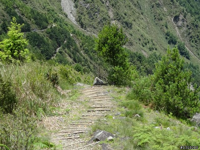 親子旅遊-就是要去塔塔加