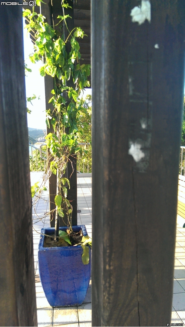 菜菜的新手~NEW ONE 簡單開箱