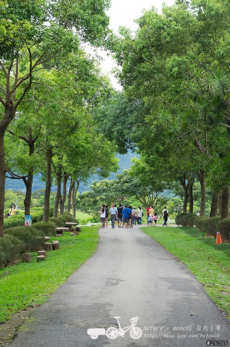 【一個人的旅行】兩鐵台東之旅 bike friday〔伯朗大道、阿智農場、台東熱氣球、鹿野高台、龍田自行車、知本溫泉、卑南豬血湯、徐媽媽蔥油餅〕