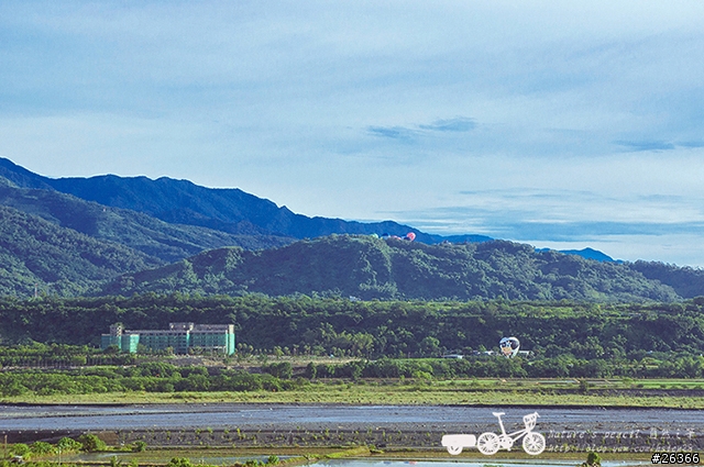 【一個人的旅行】兩鐵台東之旅 bike friday〔伯朗大道、阿智農場、台東熱氣球、鹿野高台、龍田自行車、知本溫泉、卑南豬血湯、徐媽媽蔥油餅〕