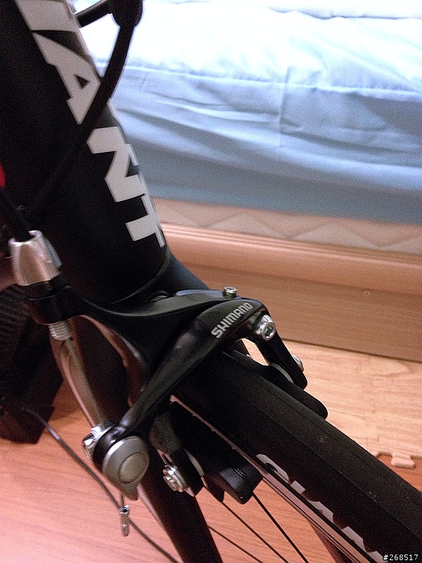 GIANT TCR COMPOSITE 2 2014 消光黑入手 (08/11新手更新心得)