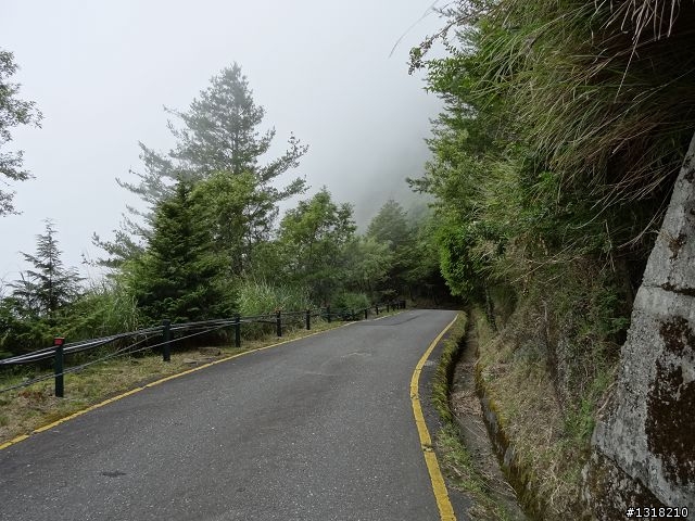 親子旅遊-就是要去塔塔加